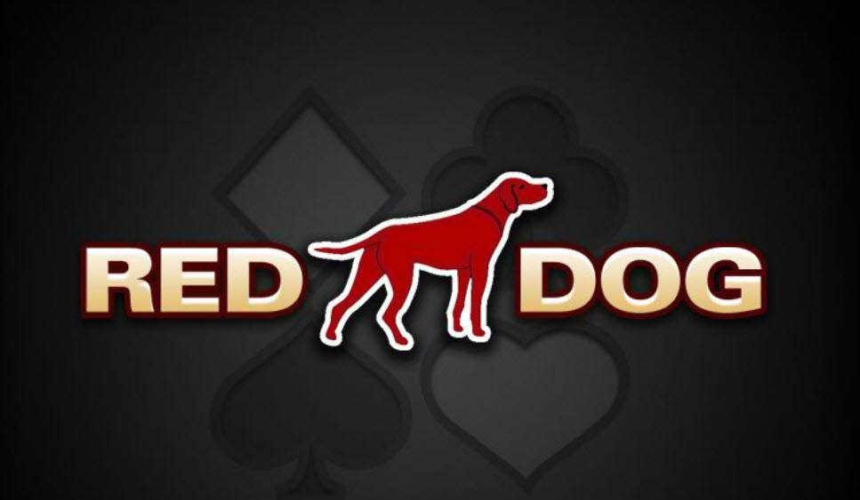 Trình tự các bước để thực hiện một ván chơi Red Dog là gì?